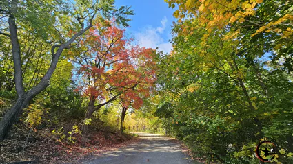 Actualite cours qi gong tai chi bourgoin maubec 2023 10 22