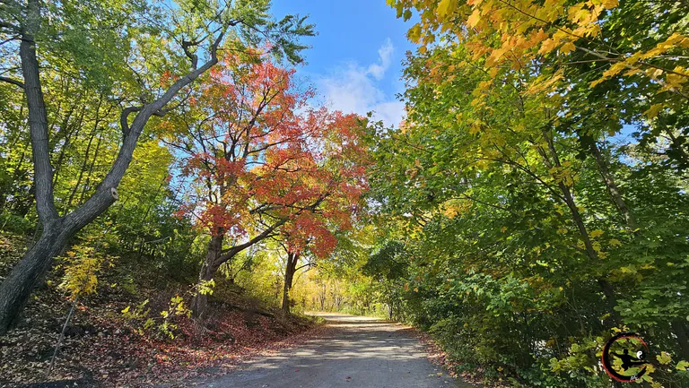 Vacances de la Toussaint : Pause d'une semaine pour les cours de Qi Gong et Tai Chi à Maubec.