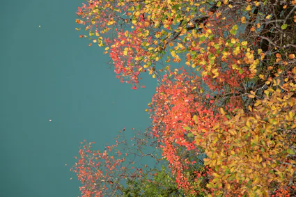 Cours qi gong cours tai chi bourgoin maubec isere ame artdumieuxetre adeline viviant 2023 11