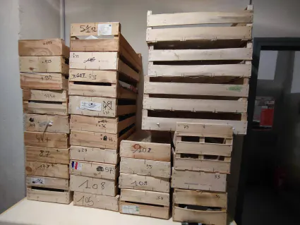 Mvimg 20231021 193253