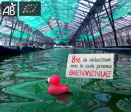 Un code promo pour tester nos produits !