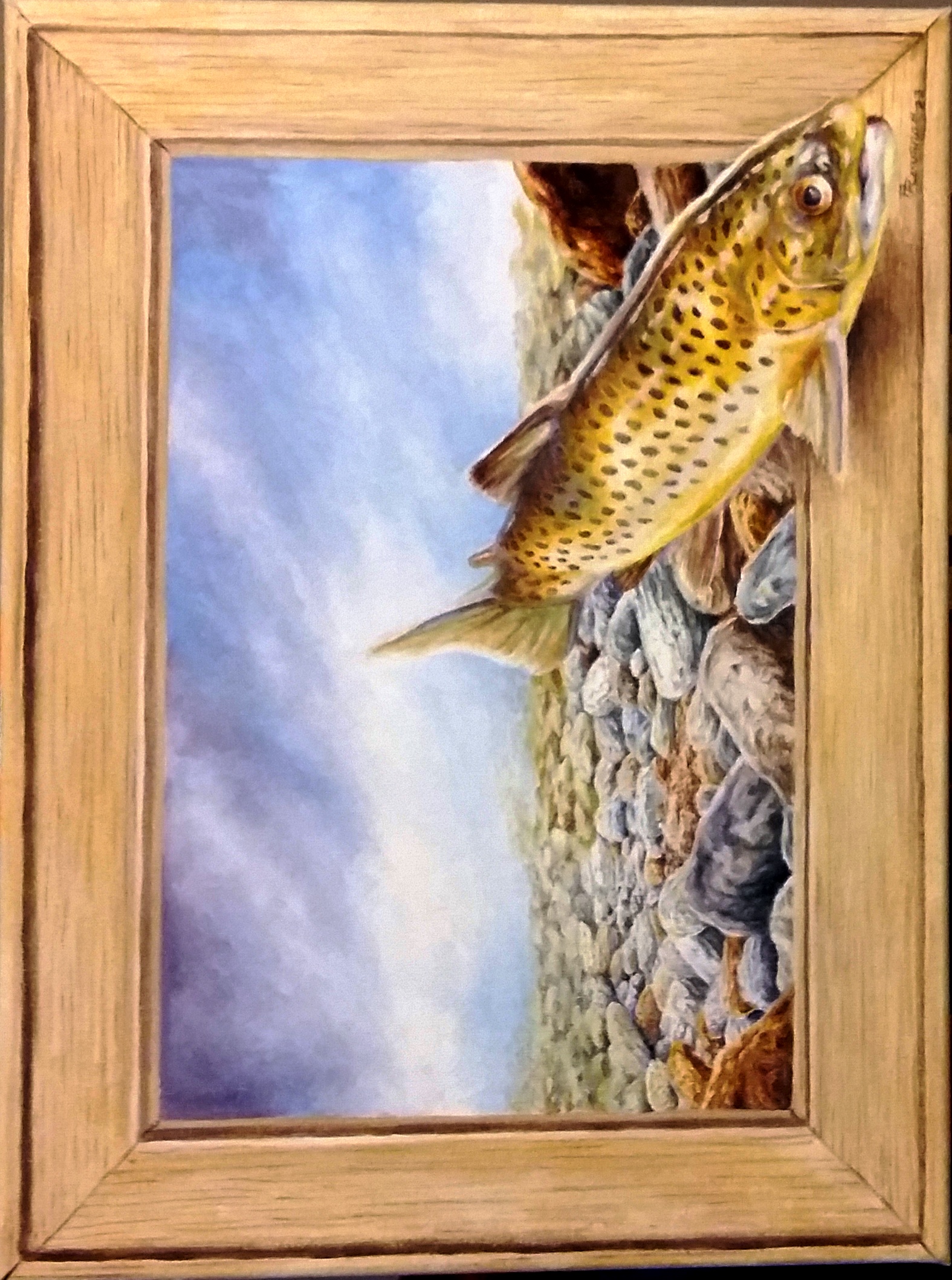 30 peche au cadre