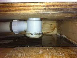 Fuite siphon mecanisme douche