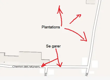 Plantation samedi 25 novembre - 9h à Parcieux