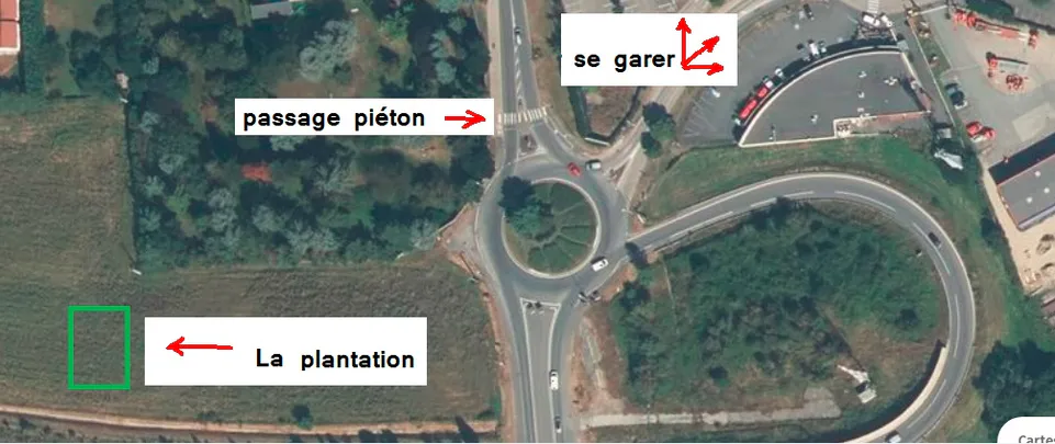 Plantation mini-forêt - samedi 2 décembre - 9h à Massieux