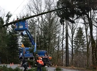 Après une perturbation majeure