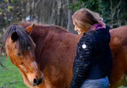 E305b4dc 4ebe 4dd2 9ddf d6ff964ae6d7 1 201 a