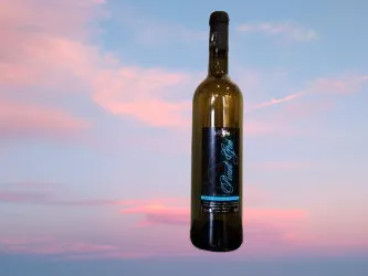 Secher pinot gris 250 h remote