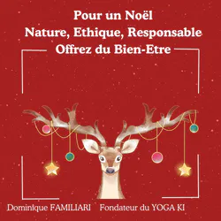 Un NOEL Nature
