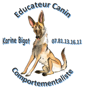 Educateur-canin-comportementaliste-bigot-karine-95-60