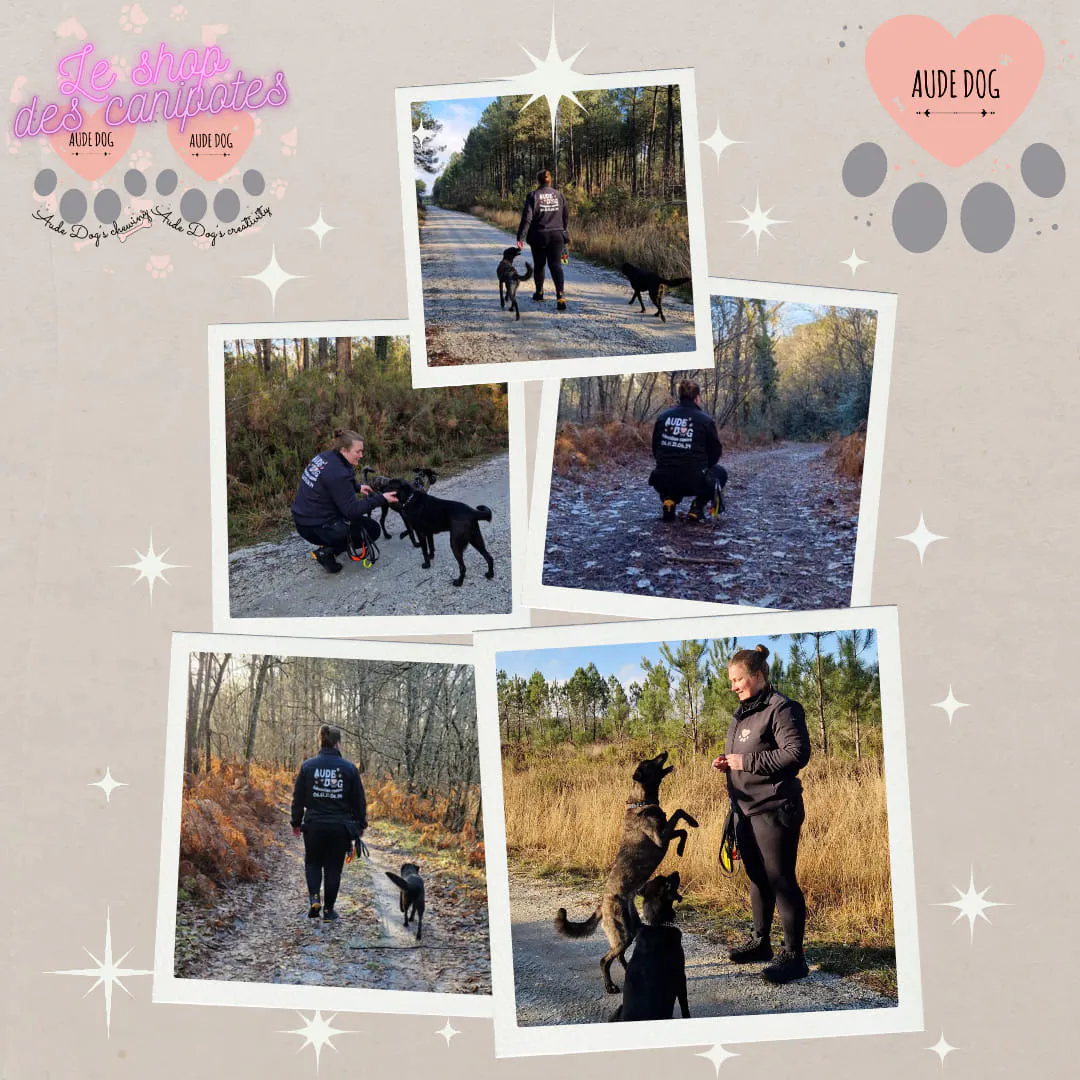 L'année 2023 s'achève ✨️