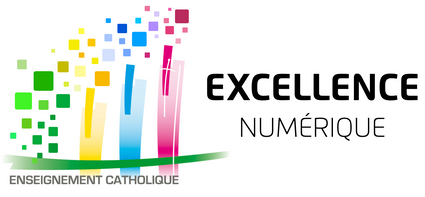 Logo-excellence-nume-rique