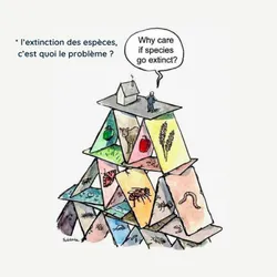 Coévoluons-nous ?