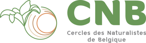 Logo-cnb