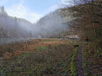 Au-delà de la Salle de Sport : Les atouts de l'Activité Quotidienne