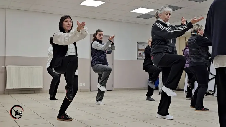 Stage de Qi Gong et Tai Chi « l'Ancrage » : stabilité dans le posturale et le mouvement