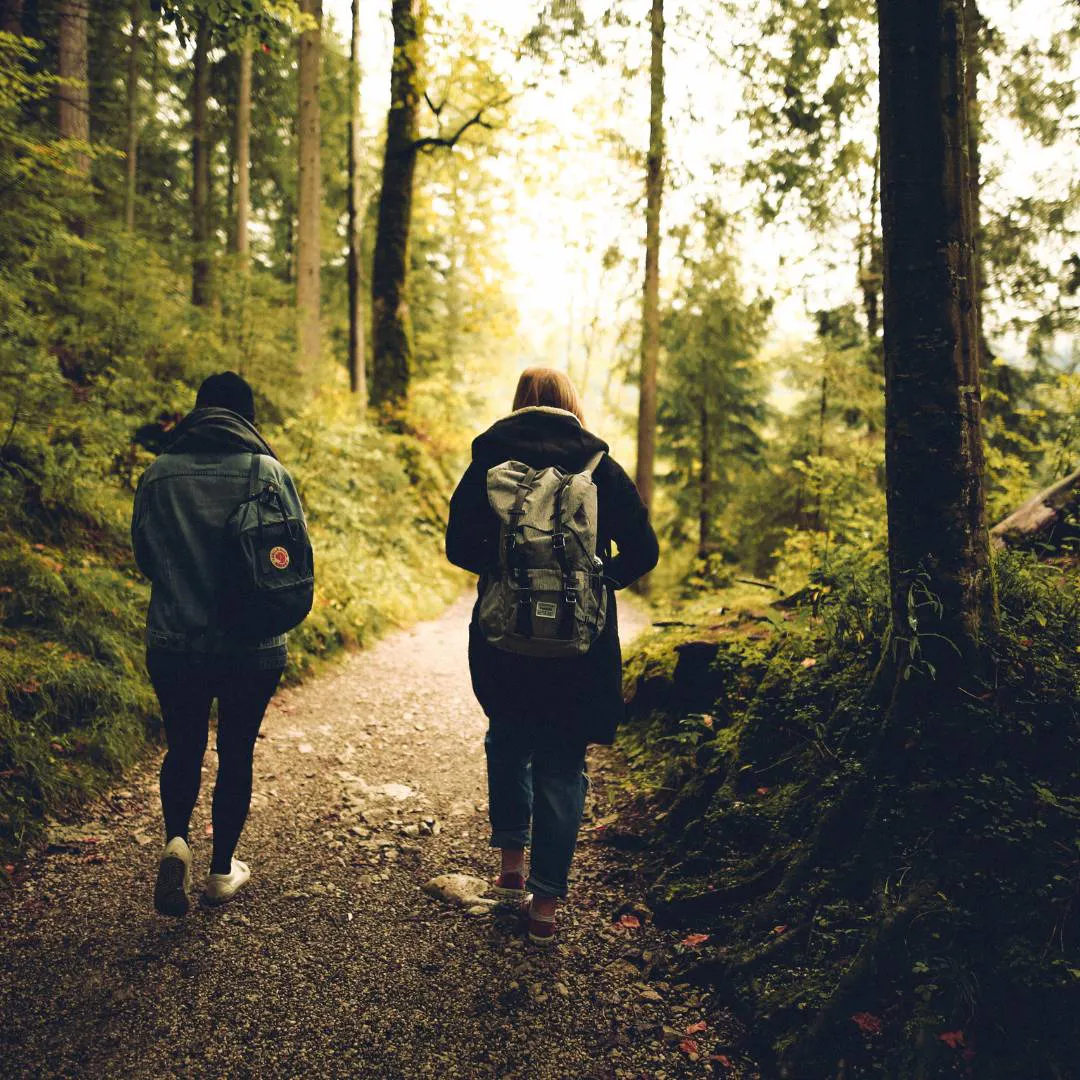 L'alliance de la marche et du coaching en nature