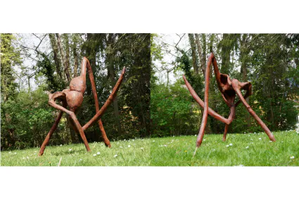 Walk on the wide side