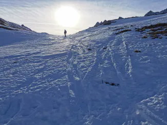 Coach Sportif à Domicile : Réussite & Motivation