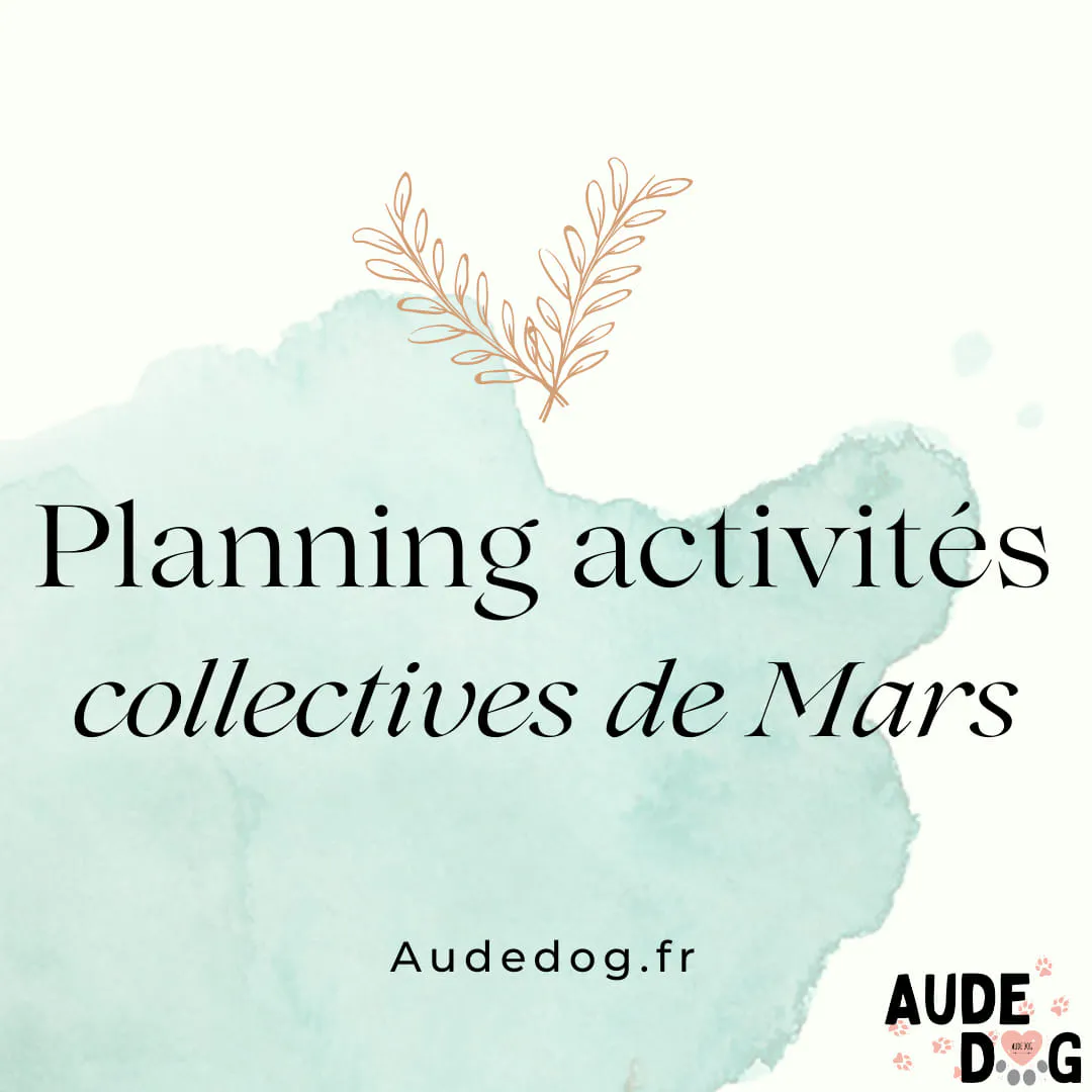Planning des activités collectives de Mars