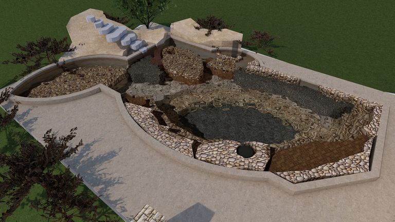 Transformer une piscine en bassin d'eau vivante