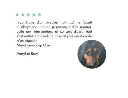 Roxy