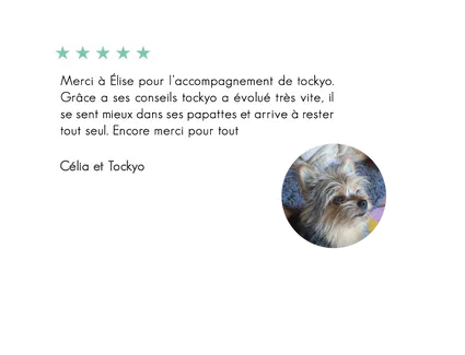 Tockyo