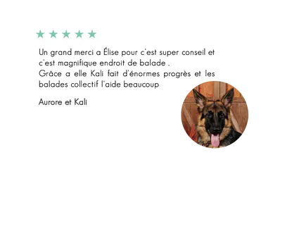 Kali