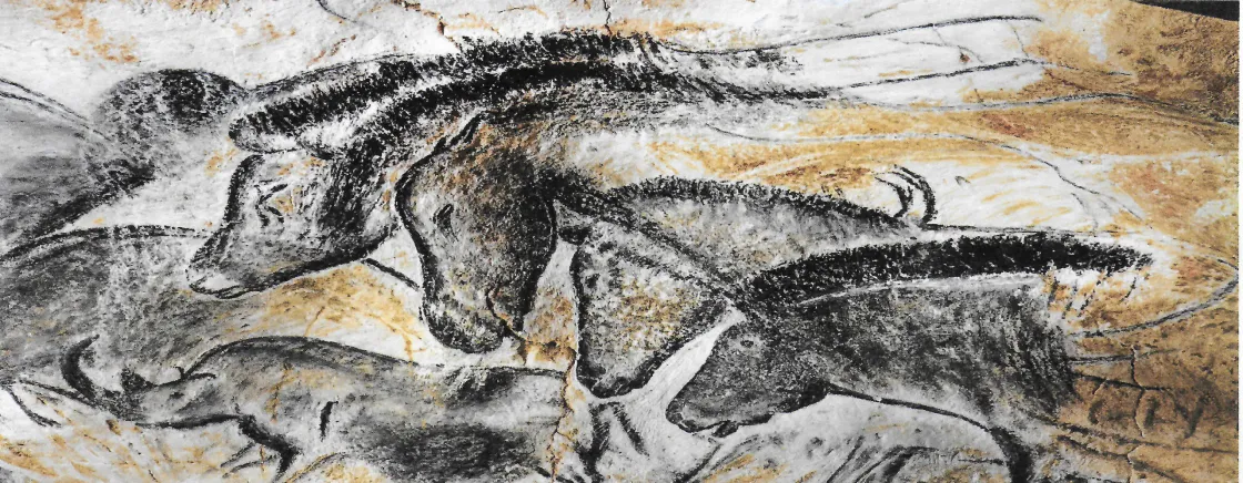 VISITE DE LA GROTTE DE LA MADELEINE ET DE LA GROTTE CHAUVET II