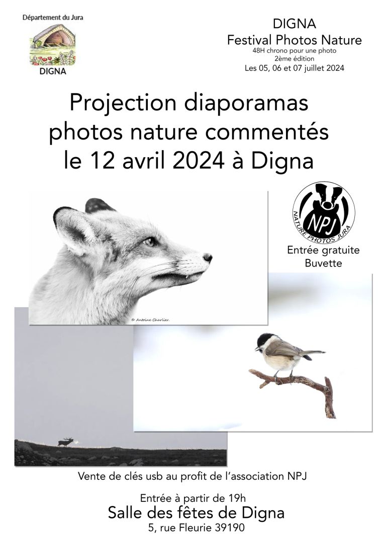 Affiche-projection-Digna-2024-copiedef