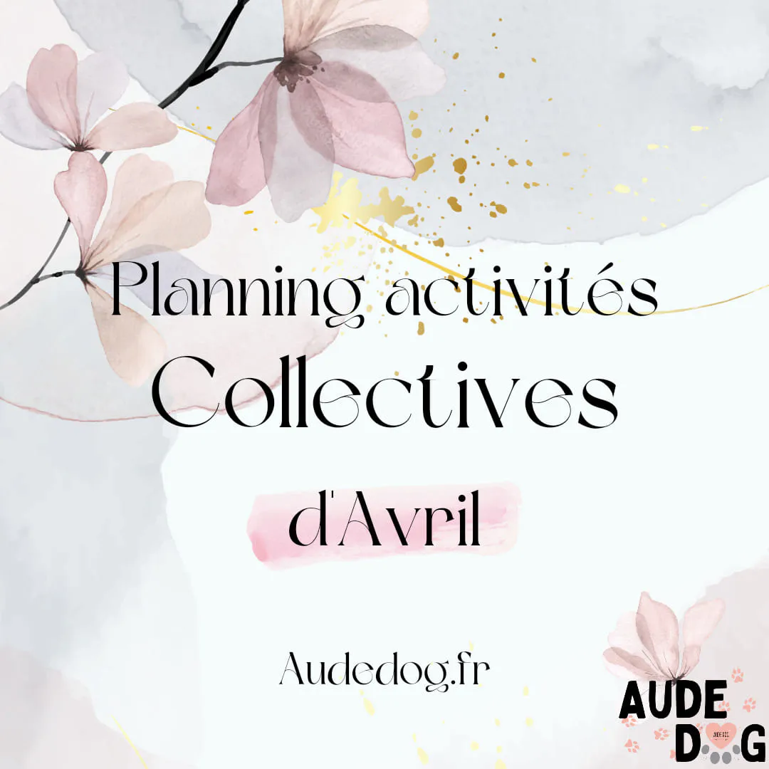 Planning des activités collectives d'Avril