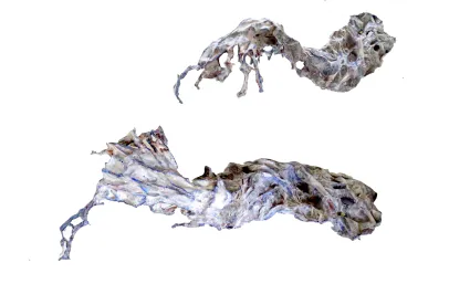 10 just married jpeg