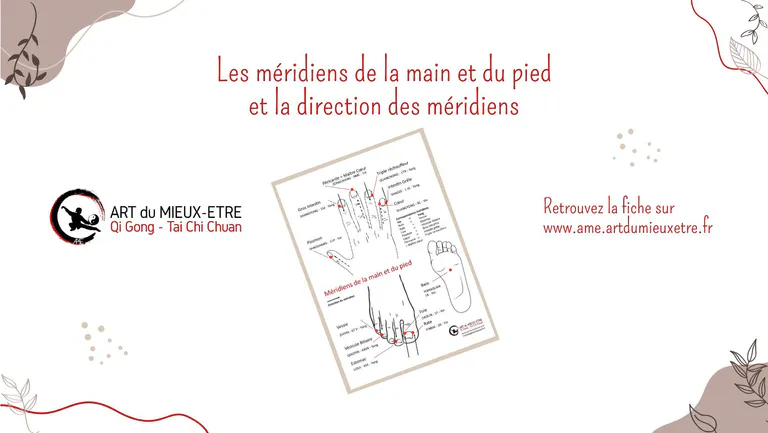 Méridiens de la main et du pied et direction des 12 méridiens principaux