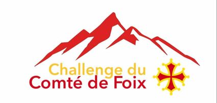Logo-challenge