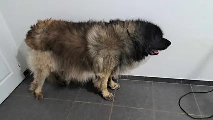 395028625 1010289390056369 2858929026083429418 n