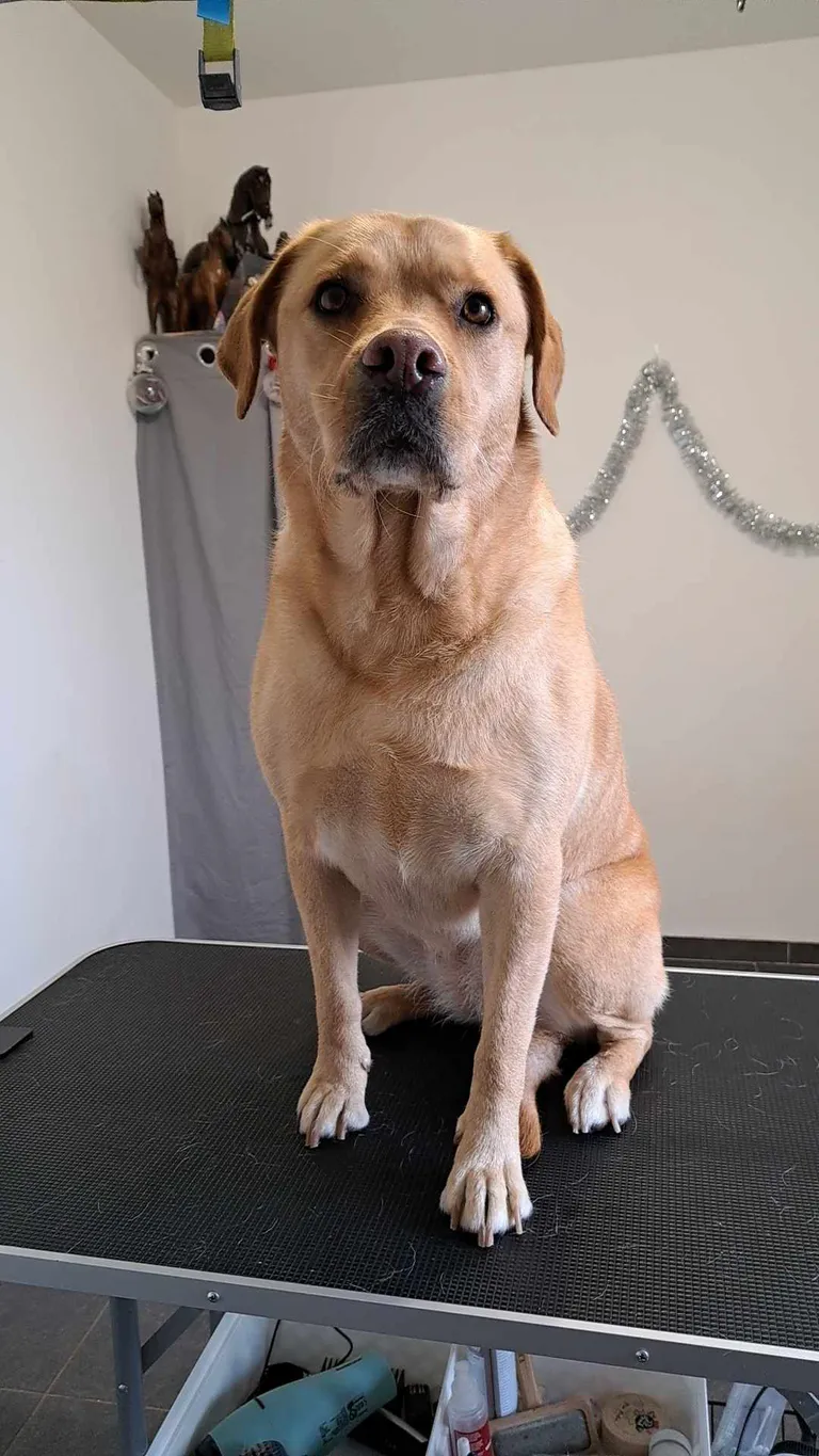 415307782 3143241065820772 3226884350812636543 n