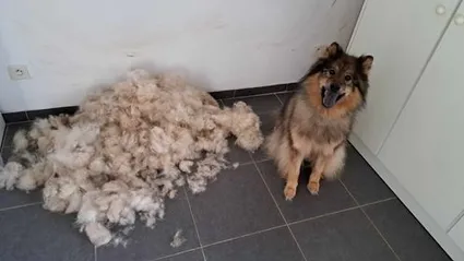 371543147 348718584362430 1433159215001334145 n