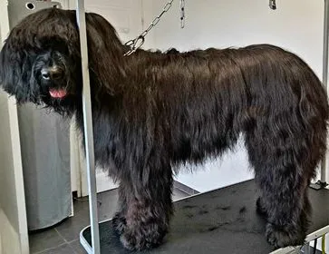 370604500 302866292695331 6129321062595527332 n