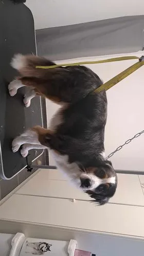 370144809 1395932431001966 8621179333816027268 n