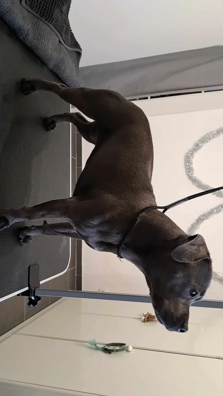 414888510 658232842922691 4617813546916438549 n