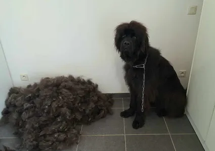 1er t 14 octobre 2023 23