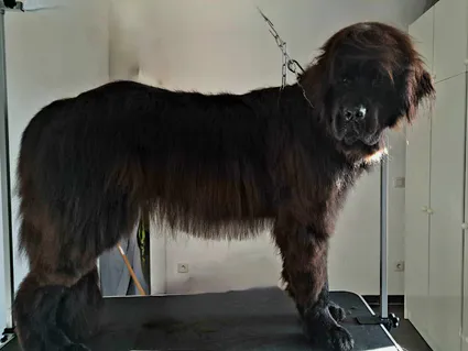 1er t 14 octobre 2023 30