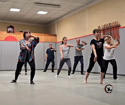 Stage qi gong tai chi bourgoin artdumieuxetre adeline viviant dojo 2 2024 06 jpg