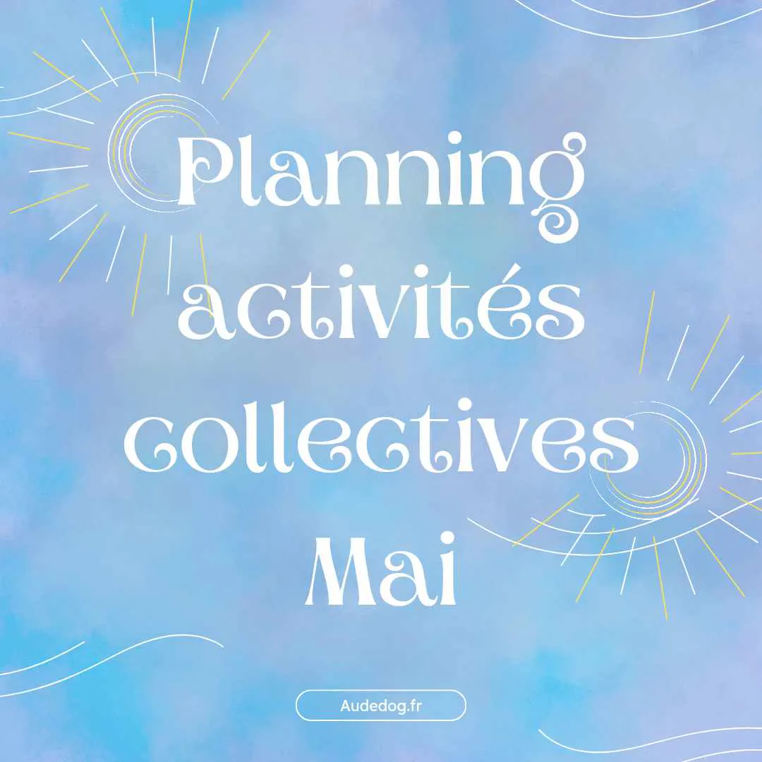 Planning des activités collectives de Mai