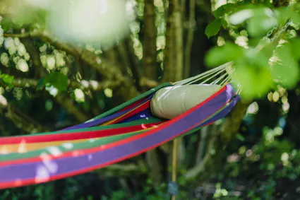 G te au pr sent  229