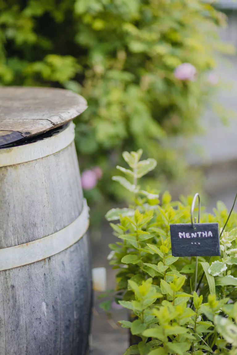 G te au pr sent  201