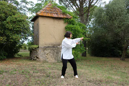 Tai chi bourgoin artdumieuxetre