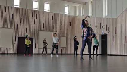 Cours et stage qi gong tai chi bourgoin maubec particuliers et entreprise