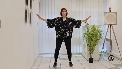 Cours qi gong tai chi en entreprise bourgoin ame artdumieuxetre adeline viviant