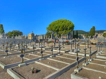 465549697 1069558014541882 8754517279261918717 n